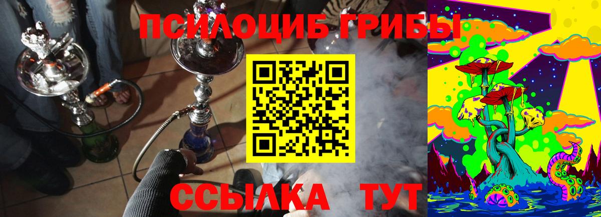 Галлюциногенные грибы Cubensis Ивантеевка