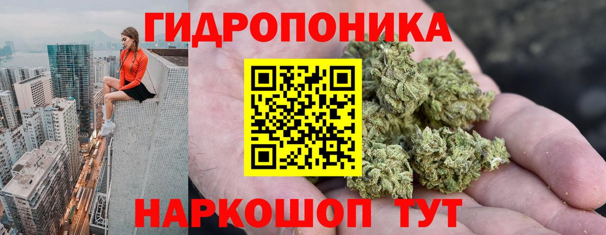 Марихуана ГИДРОПОН Ивантеевка